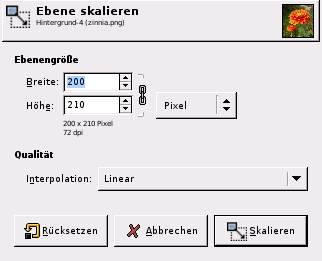 Das Dialogfenster Ebene skalieren